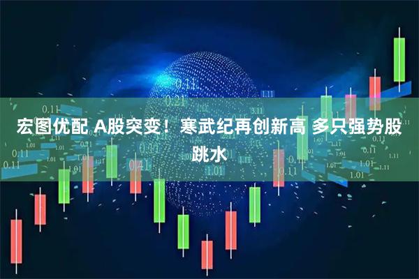 宏图优配 A股突变!寒武纪再创新高 多只强势股跳水