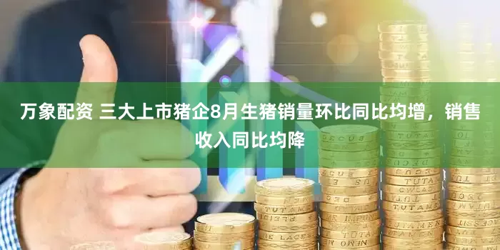 万象配资 三大上市猪企8月生猪销量环比同比均增,销售收入同比均降