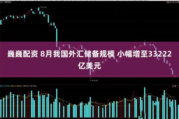 巍巍配资 8月我国外汇储备规模 小幅增至33222亿美元